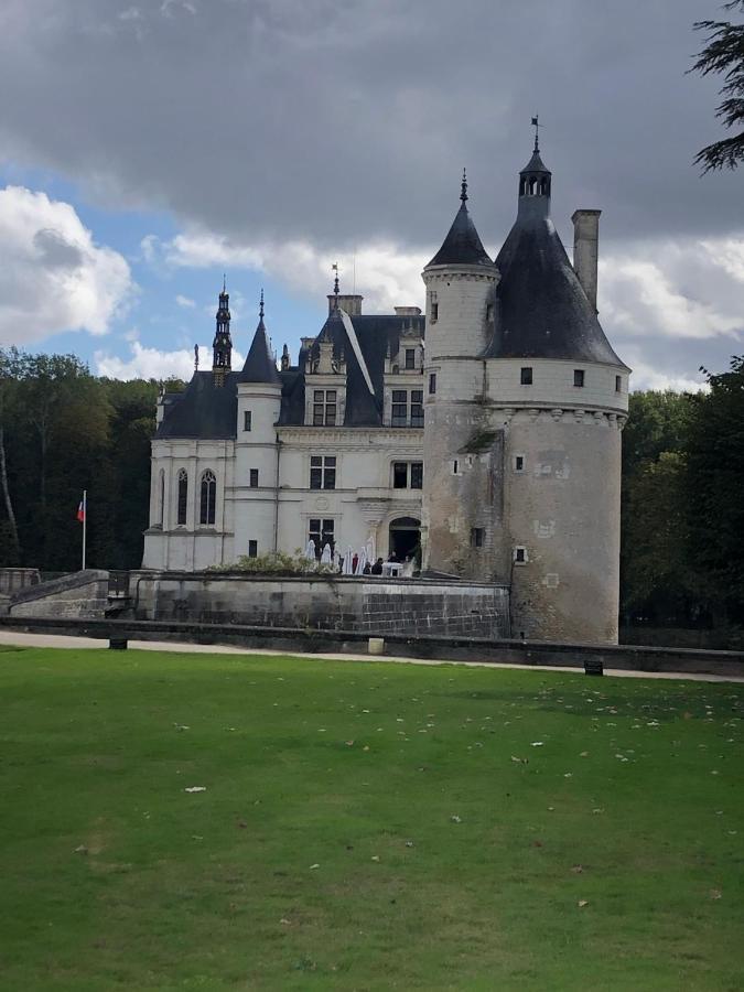 Maison D Hotes La Petite Jucherie Saint-Hippolyte  Eksteriør bilde